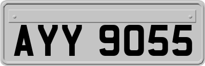 AYY9055