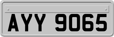 AYY9065