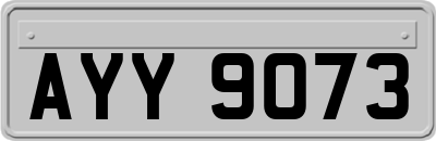 AYY9073