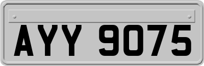 AYY9075
