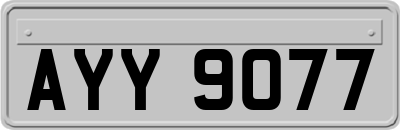 AYY9077