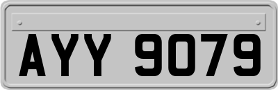 AYY9079