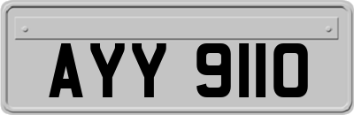 AYY9110
