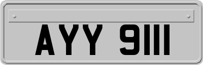 AYY9111