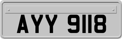 AYY9118