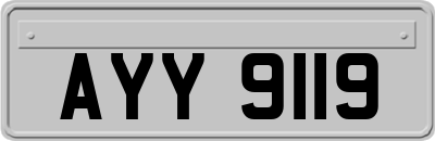 AYY9119