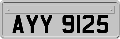 AYY9125