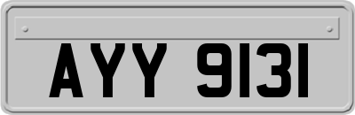 AYY9131