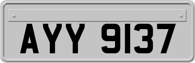 AYY9137