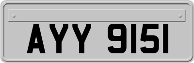 AYY9151