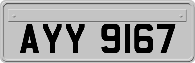 AYY9167
