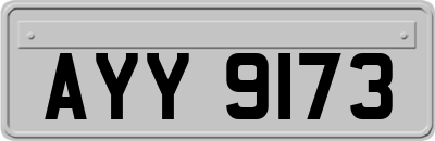 AYY9173