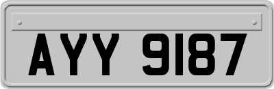AYY9187