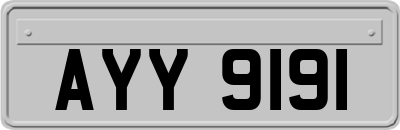AYY9191