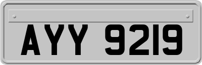 AYY9219