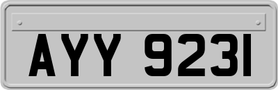 AYY9231