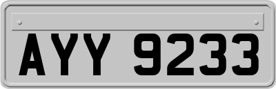 AYY9233