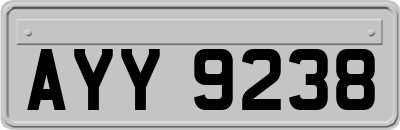 AYY9238