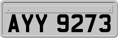 AYY9273