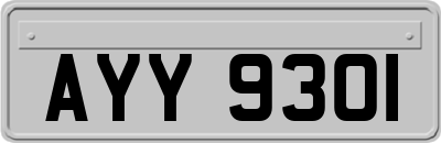 AYY9301
