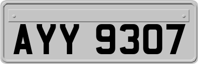 AYY9307