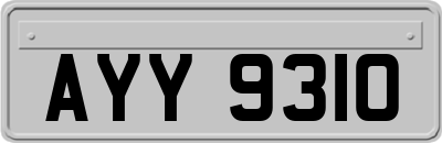 AYY9310