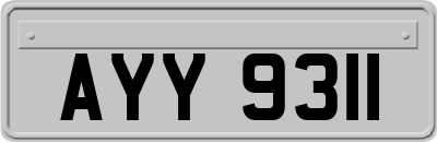 AYY9311