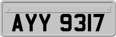 AYY9317