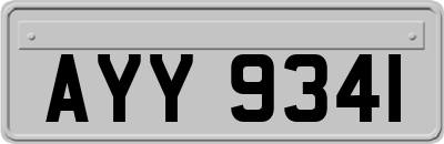 AYY9341