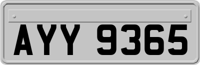 AYY9365