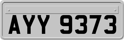 AYY9373