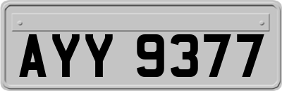 AYY9377