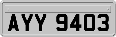 AYY9403