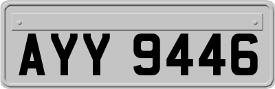 AYY9446