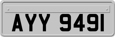 AYY9491