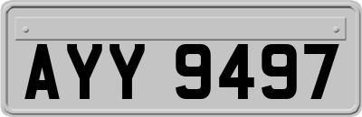 AYY9497