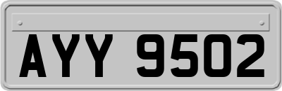 AYY9502