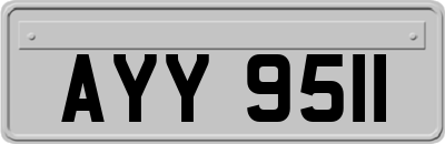 AYY9511