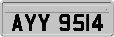 AYY9514