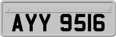AYY9516