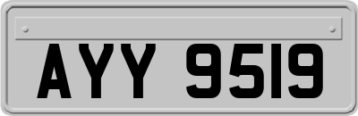 AYY9519