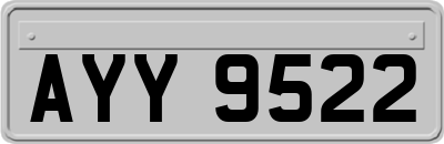 AYY9522