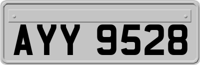AYY9528