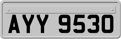 AYY9530