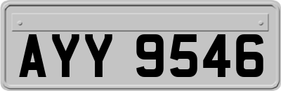 AYY9546