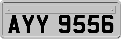 AYY9556