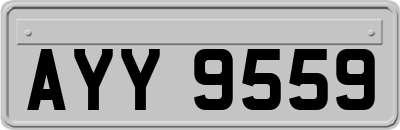 AYY9559