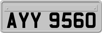 AYY9560