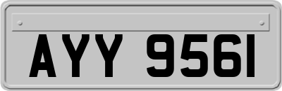 AYY9561