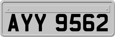 AYY9562